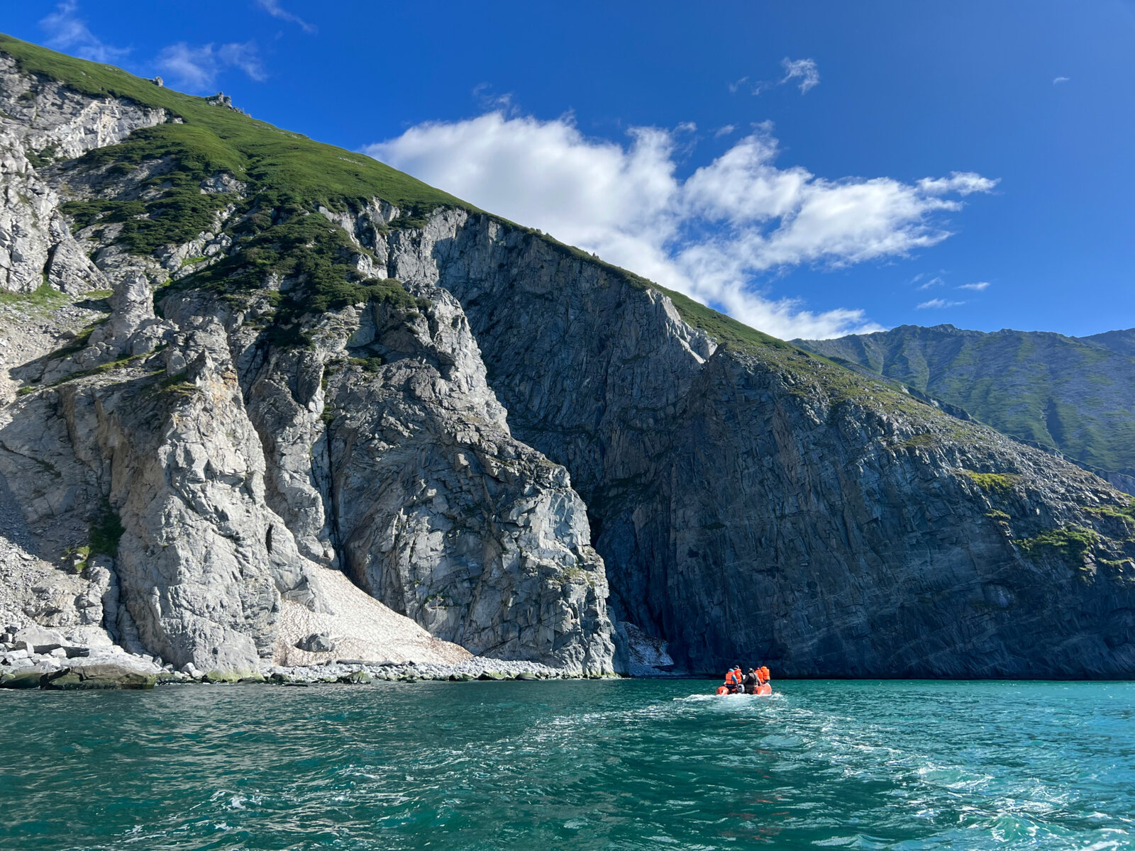 Киты, сивучи и морские птицы