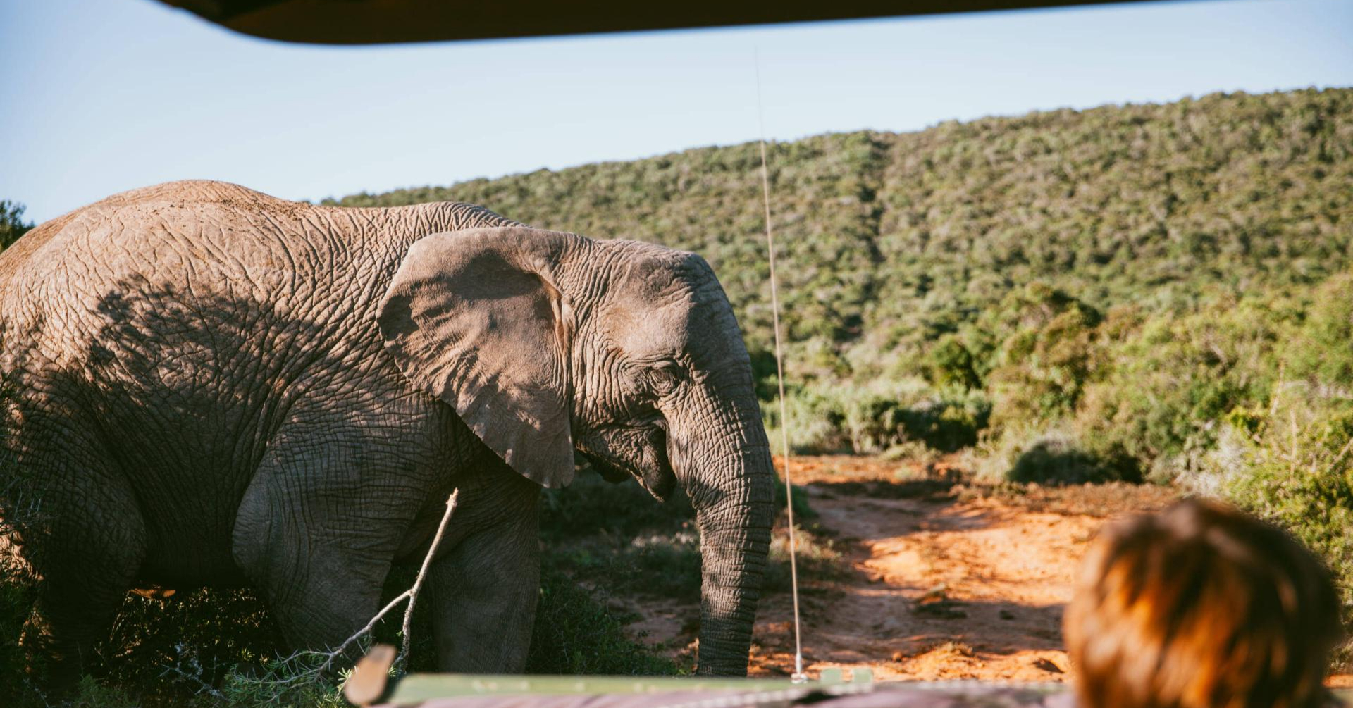 Приключения на майские праздники