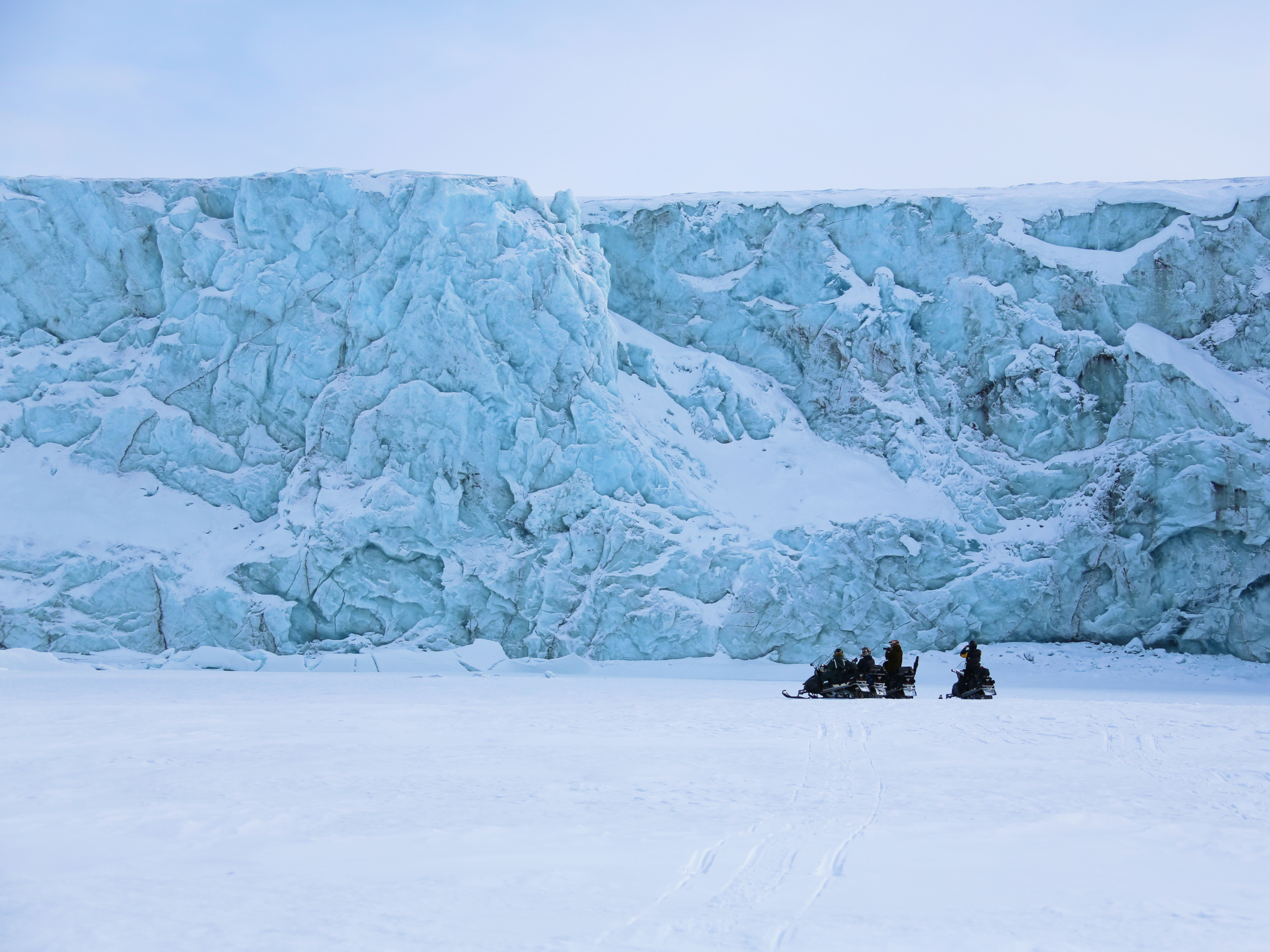 Видео: Неделя Арктики — 5 лекций от полярных гидов