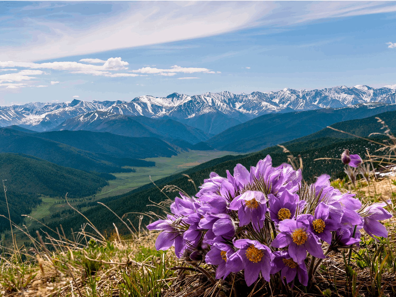 Фото статьи