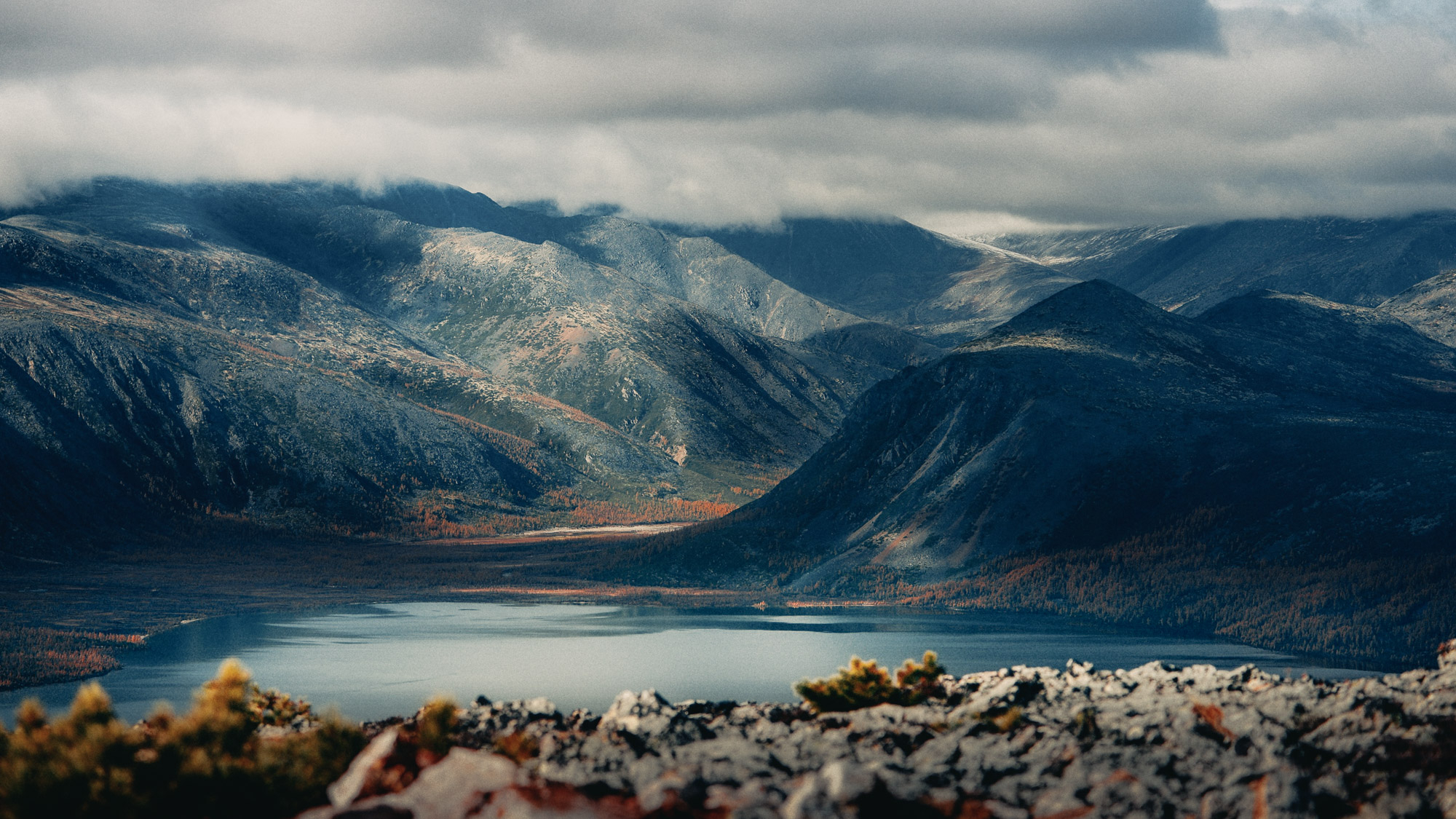Фото статьи