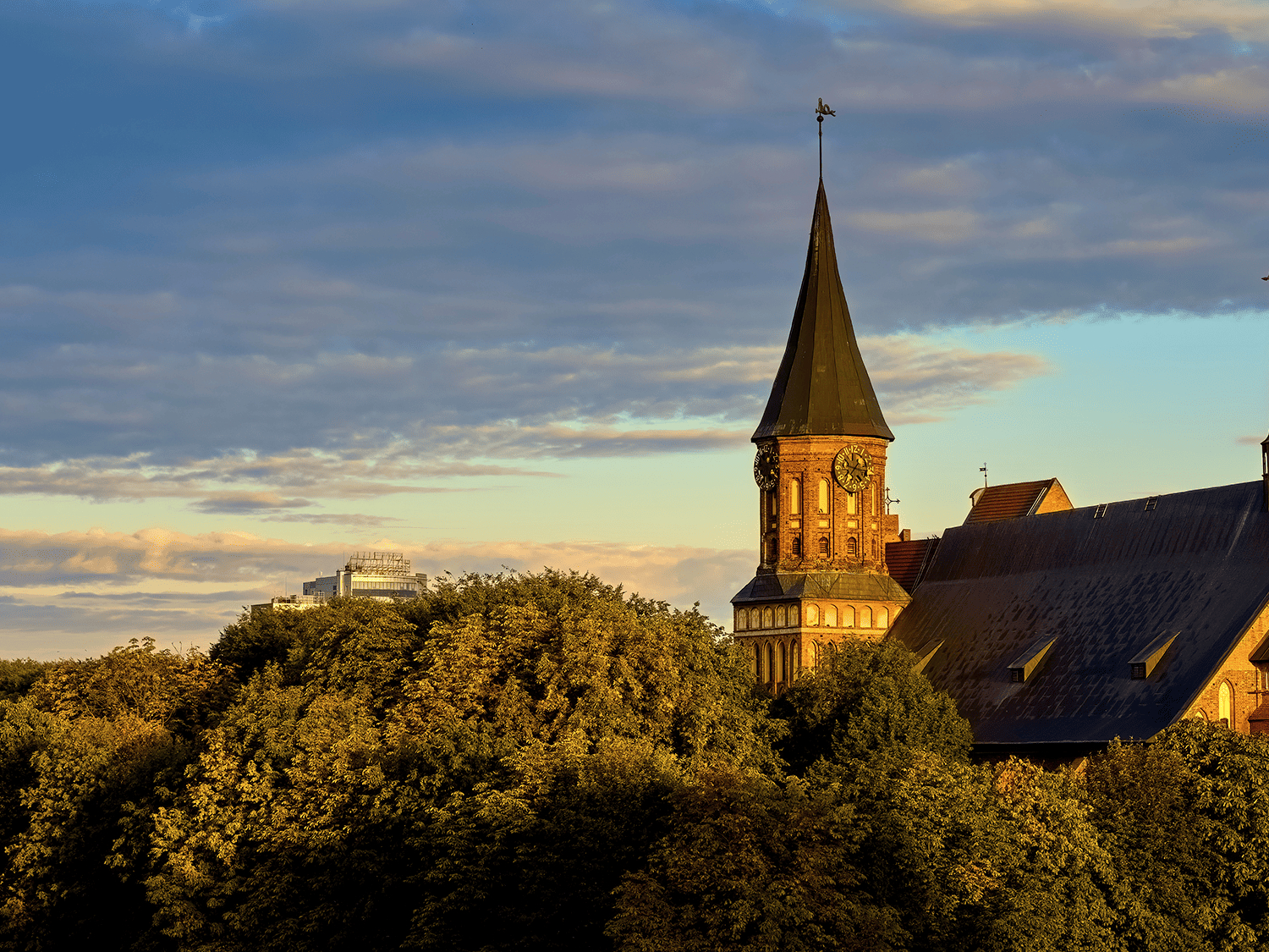 Другой Калининград: следы Тевтонского ордена, сказочный лес и самая западная точка России