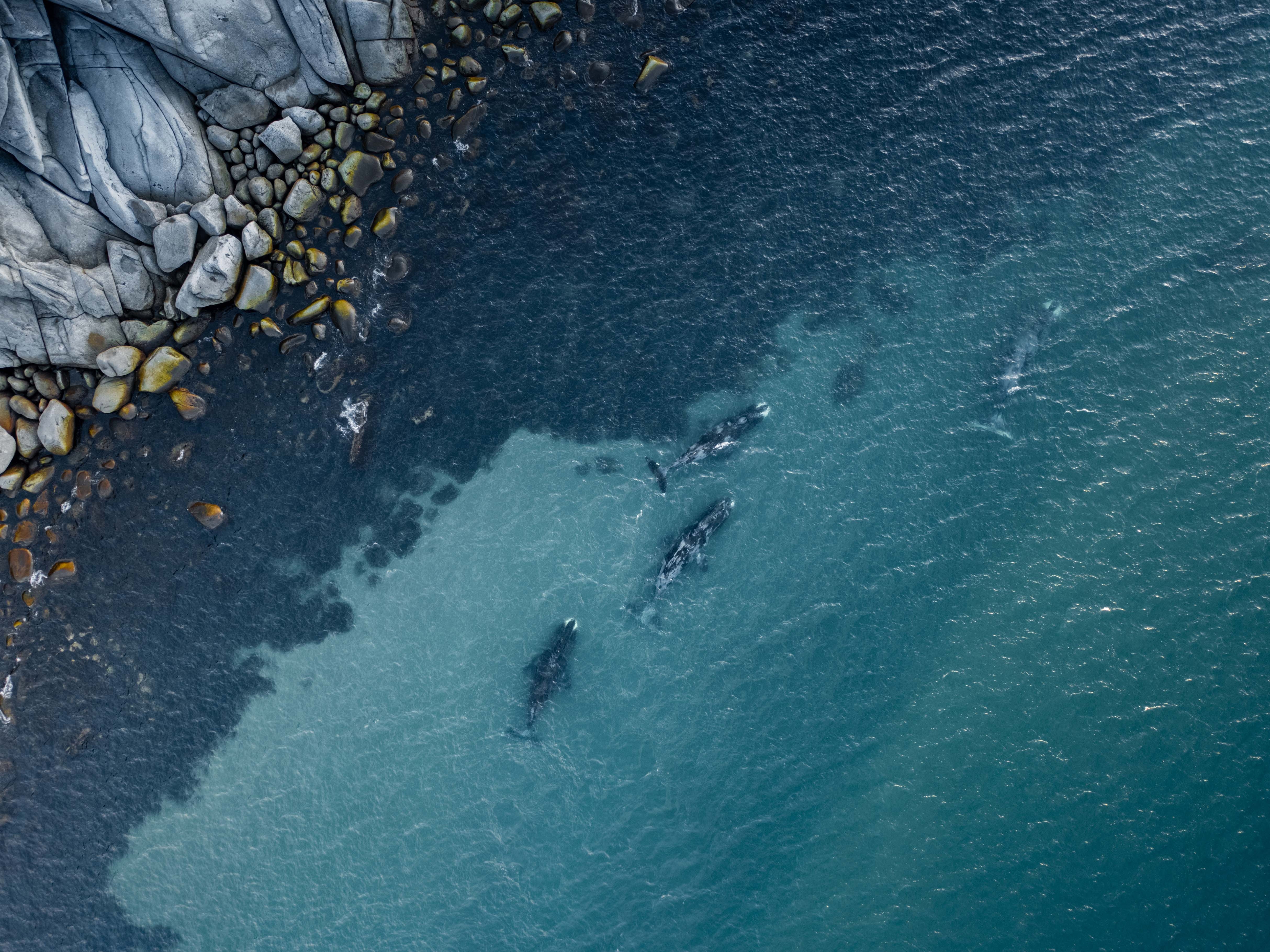 Проверили сами: Шантарские острова и бухта Врангеля