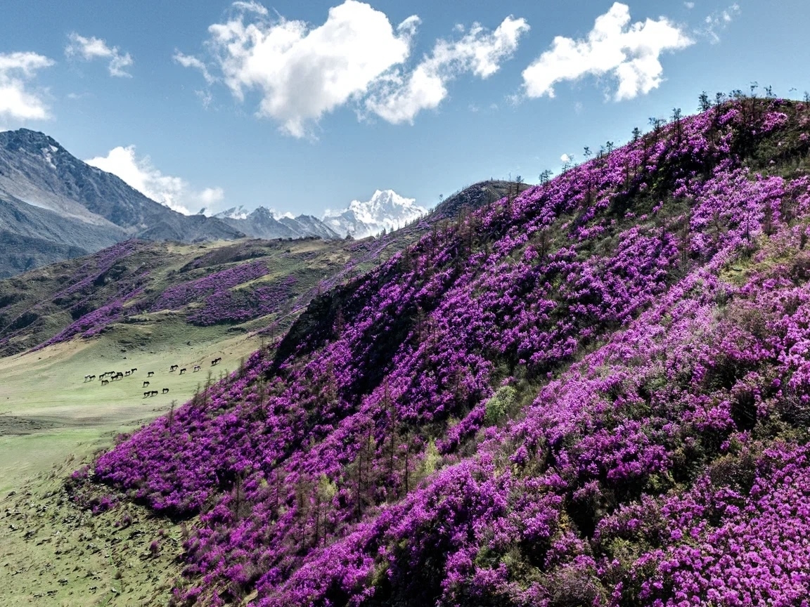 Фото статьи