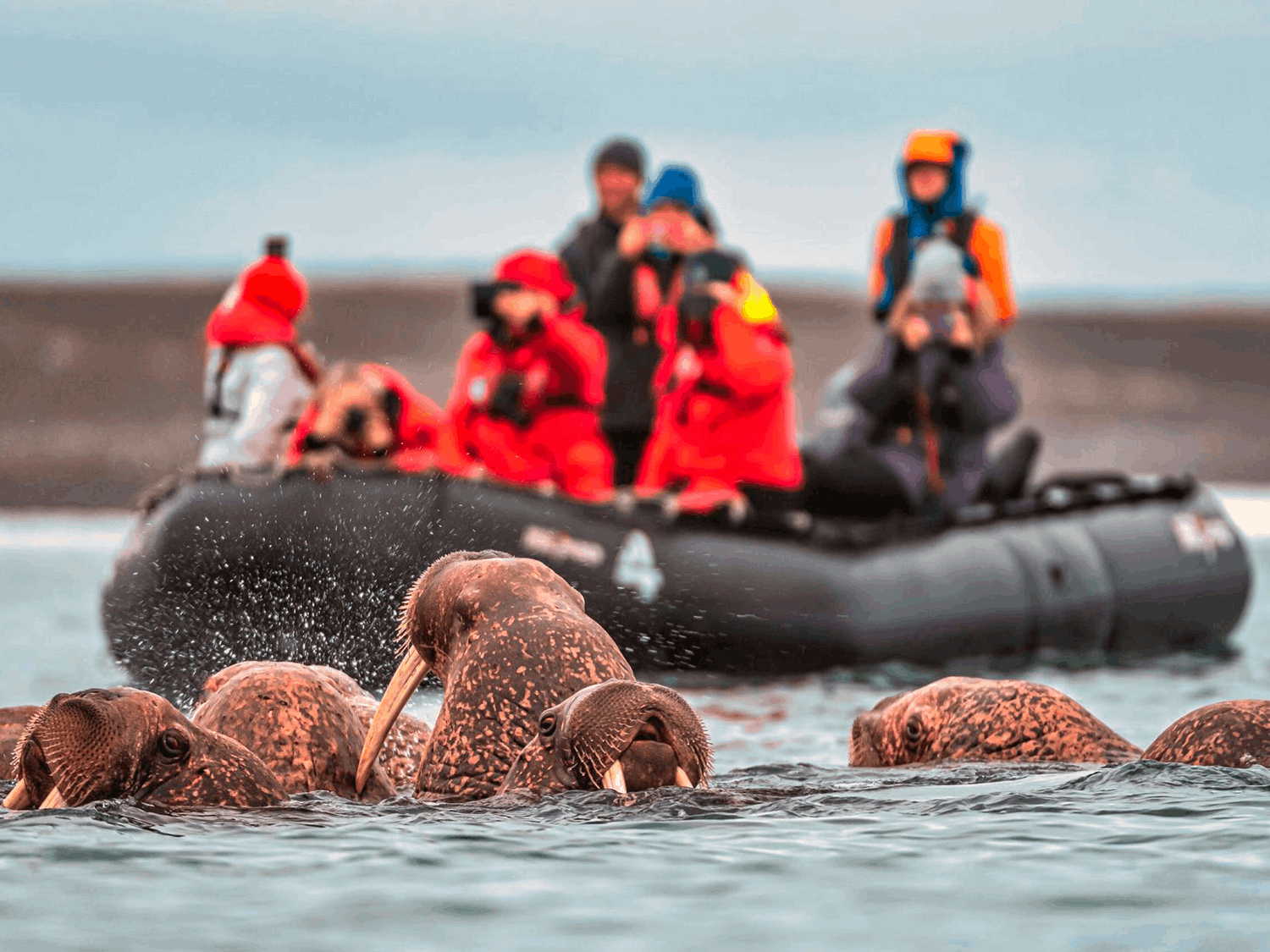Фото статьи