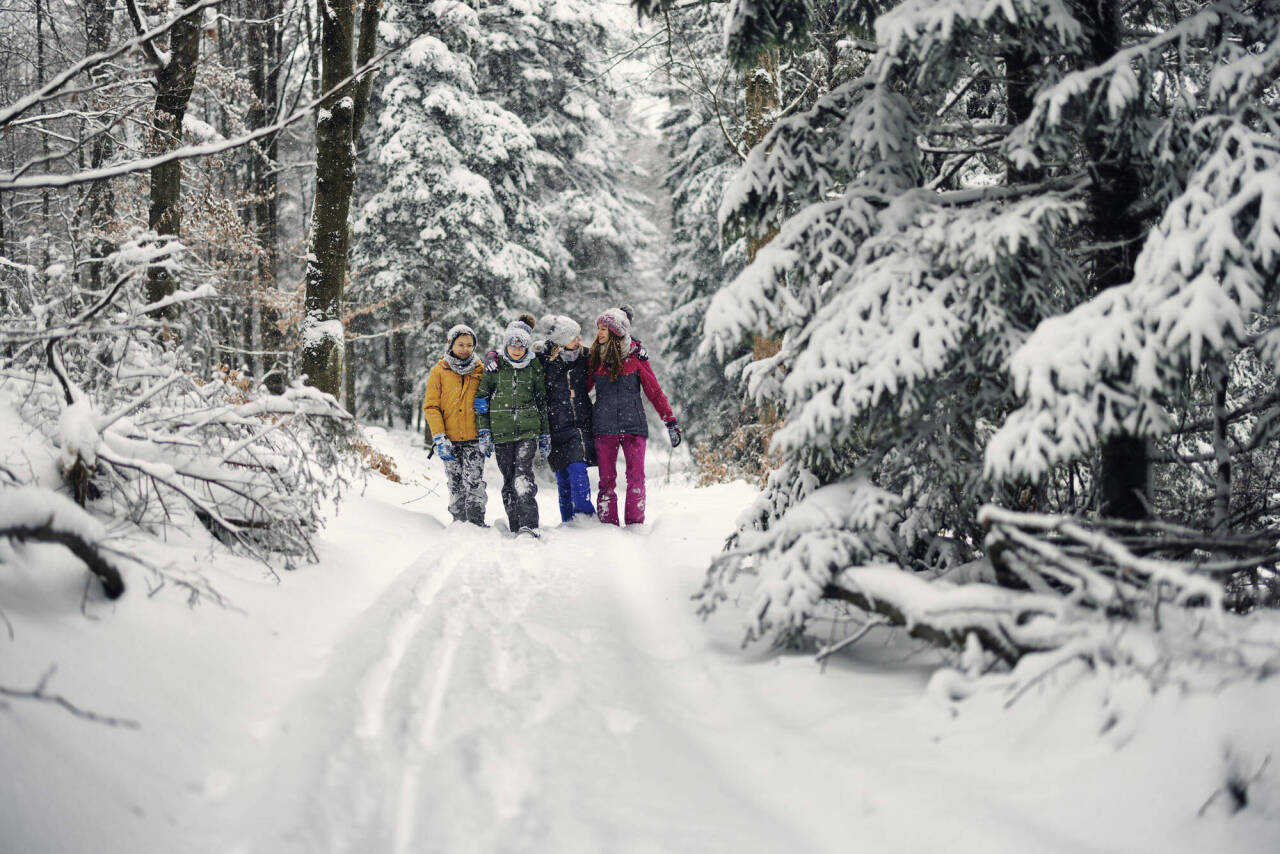 Зимняя феерия природы и активный отдых