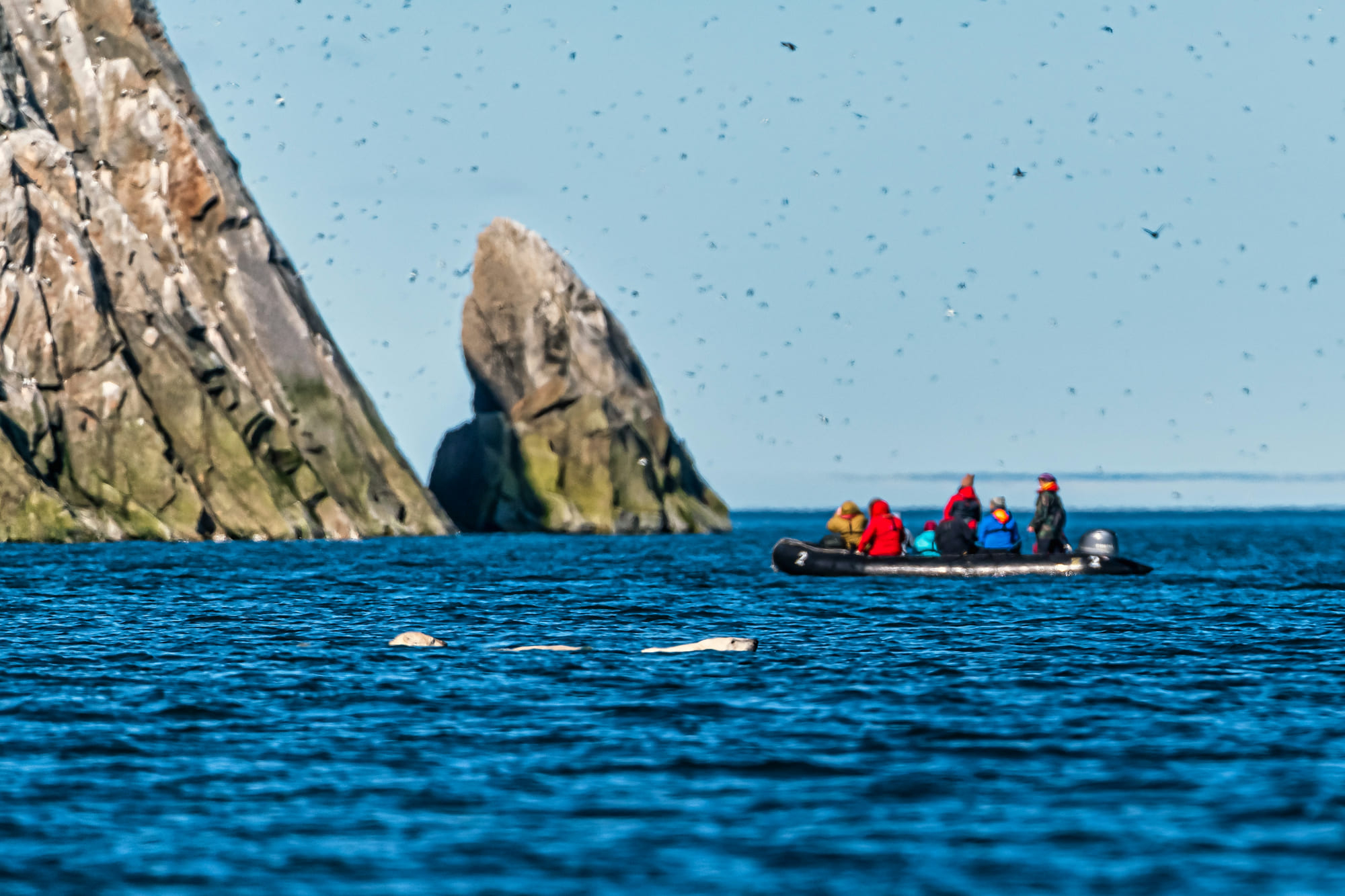 VIP-круиз к острову Врангеля