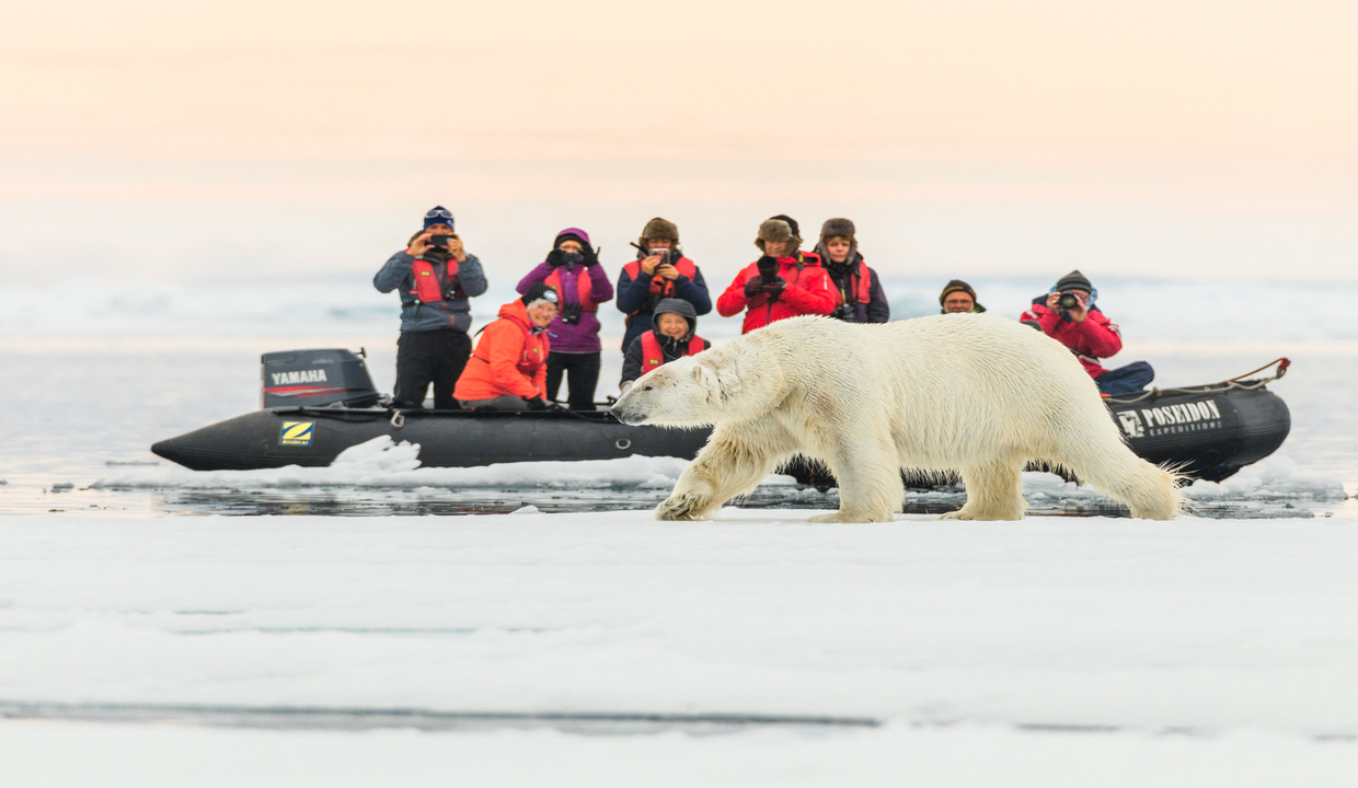 Земля Франца-Иосифа
