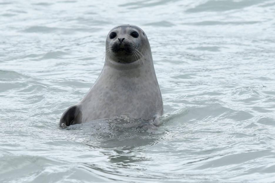 фото img_65a7cbcd56c4a.jpg