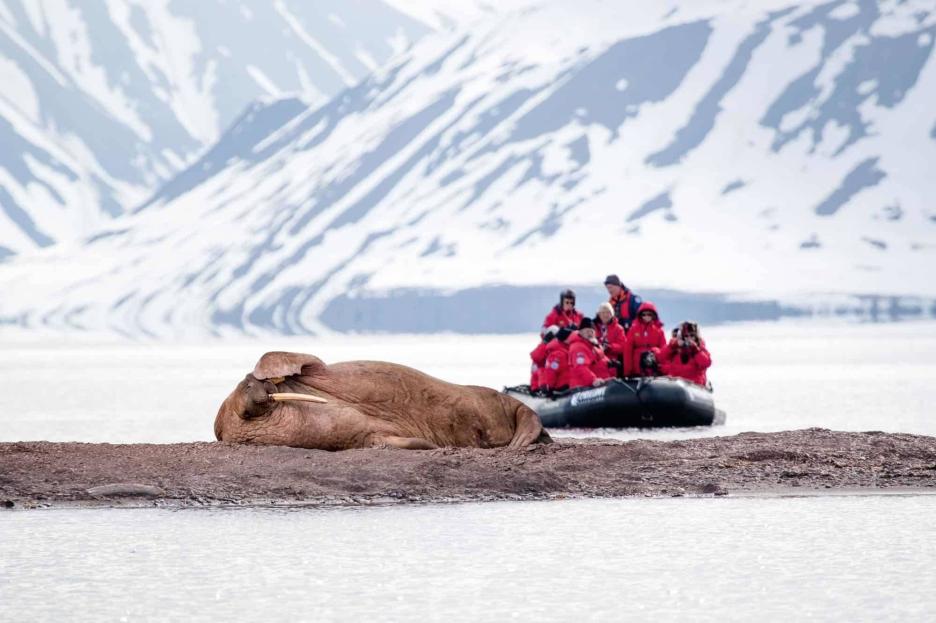 фото img_65a7cbce9d92f.jpg