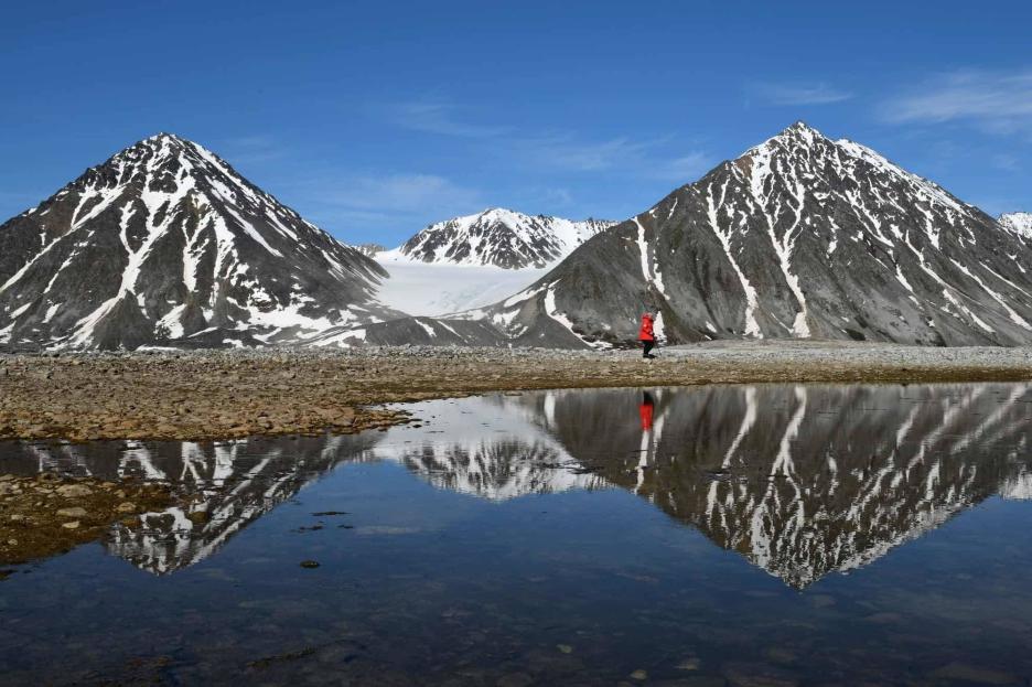 фото img_65a7cbd77f6c6.jpg