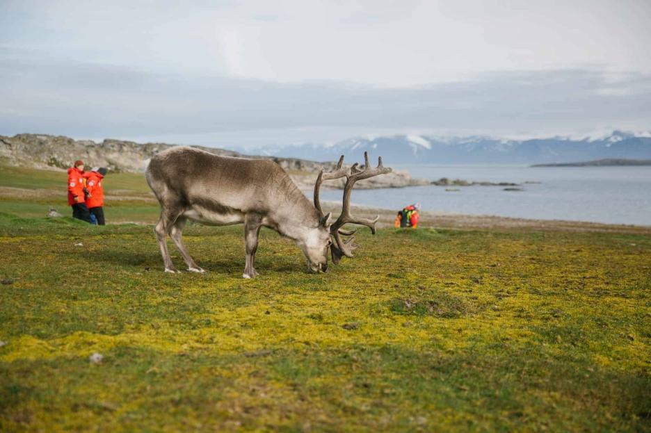 фото img_65a7cbe32646b.jpg