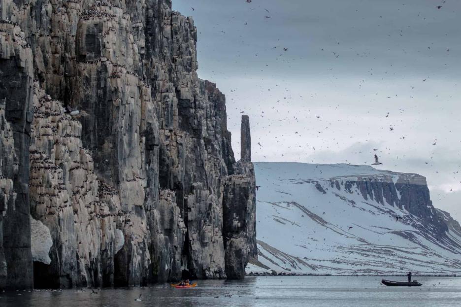 фото img_65a7cbe46e83d.jpg