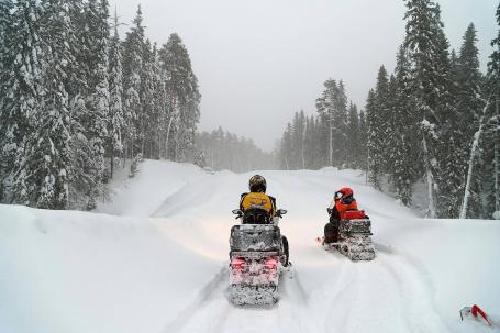 Снегоходная прогулка
