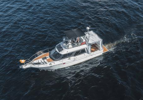 Морская прогулка в поисках китов