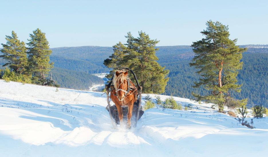 фото img_673c3fbc080e7.jpg