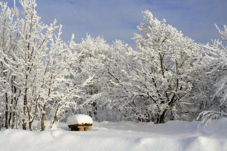 Природа Южного Урала