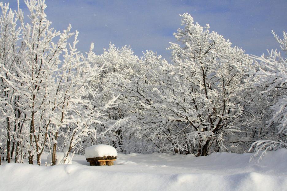 фото img_673c3fbe122d9.jpg