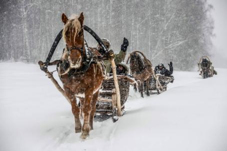 Конно-санная прогулка на Южном Урале