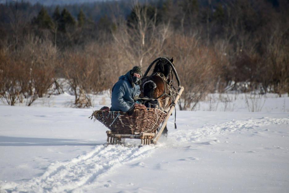 фото img_673c4947cb13d.jpg