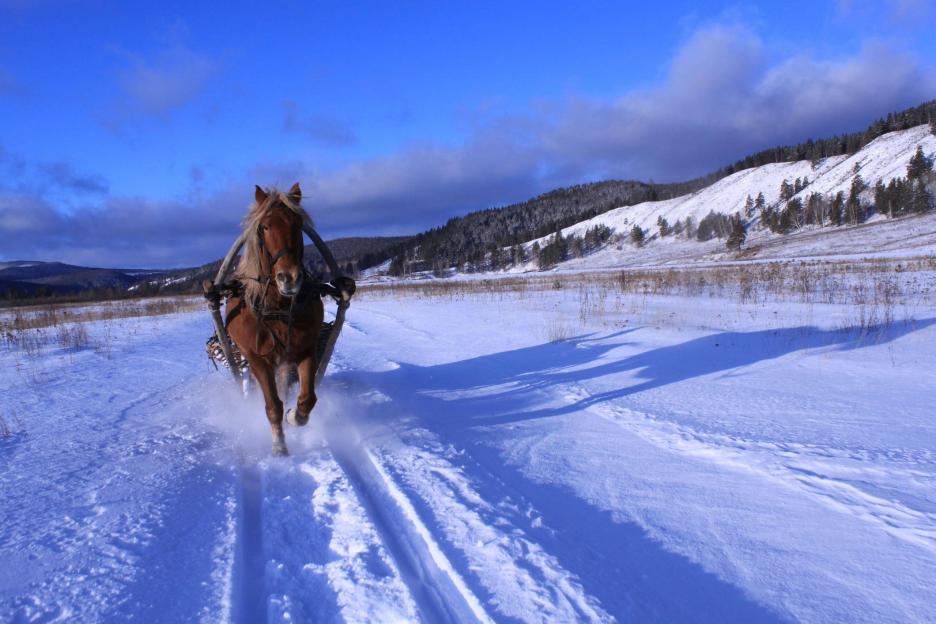 фото img_673c4949617e6.jpg