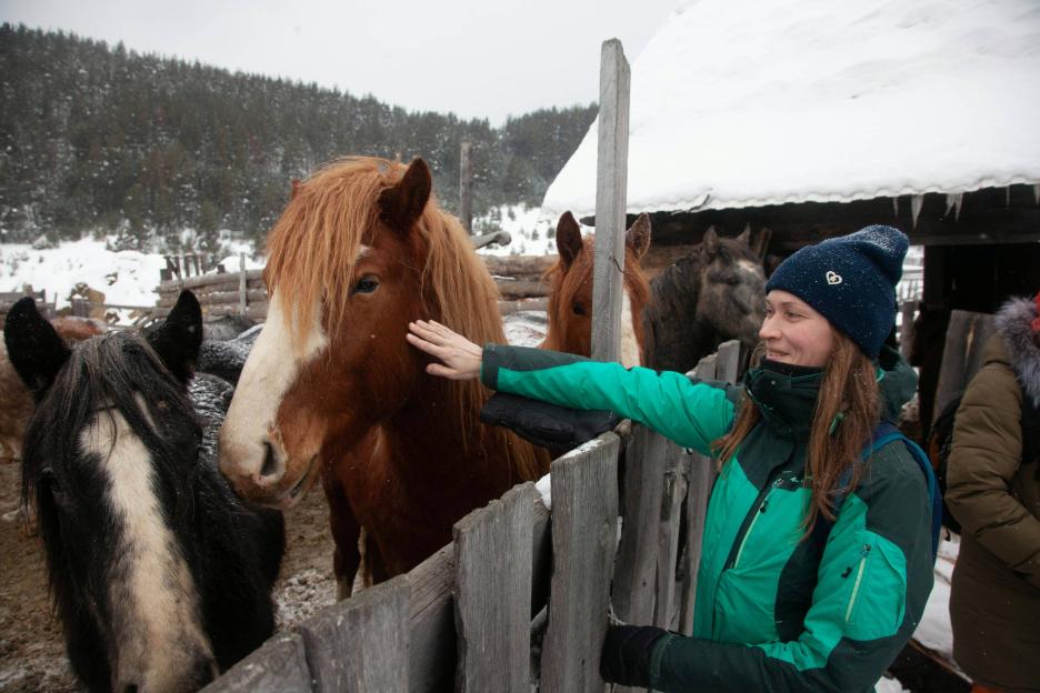 фото img_673c494f0995e.jpg