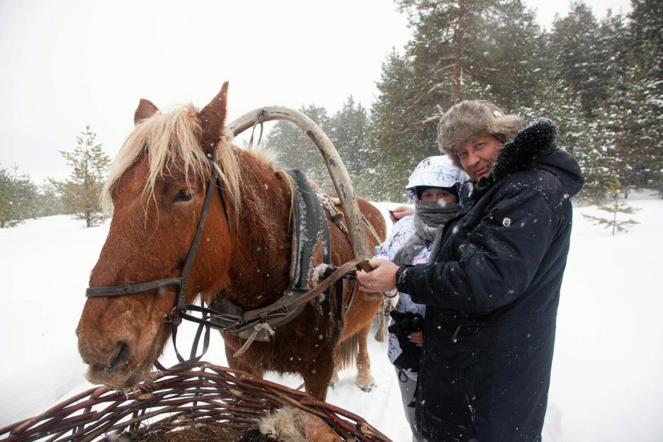 фото img_673c495137442.jpg