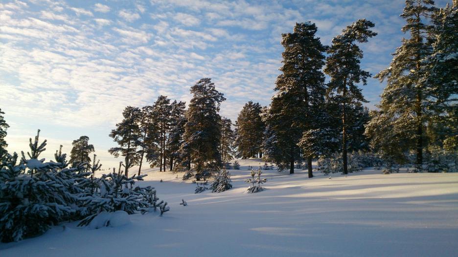 фото img_673c4955a75e2.jpg