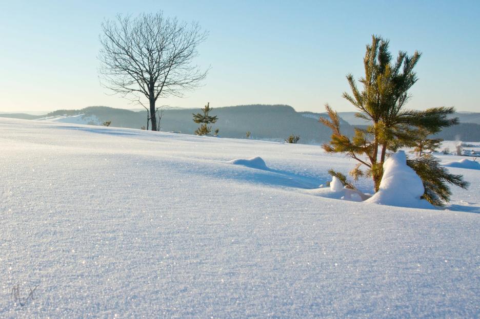 фото img_673c4958e8177.jpg