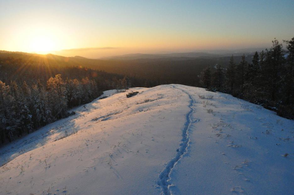 фото img_673c495b39a3c.jpg