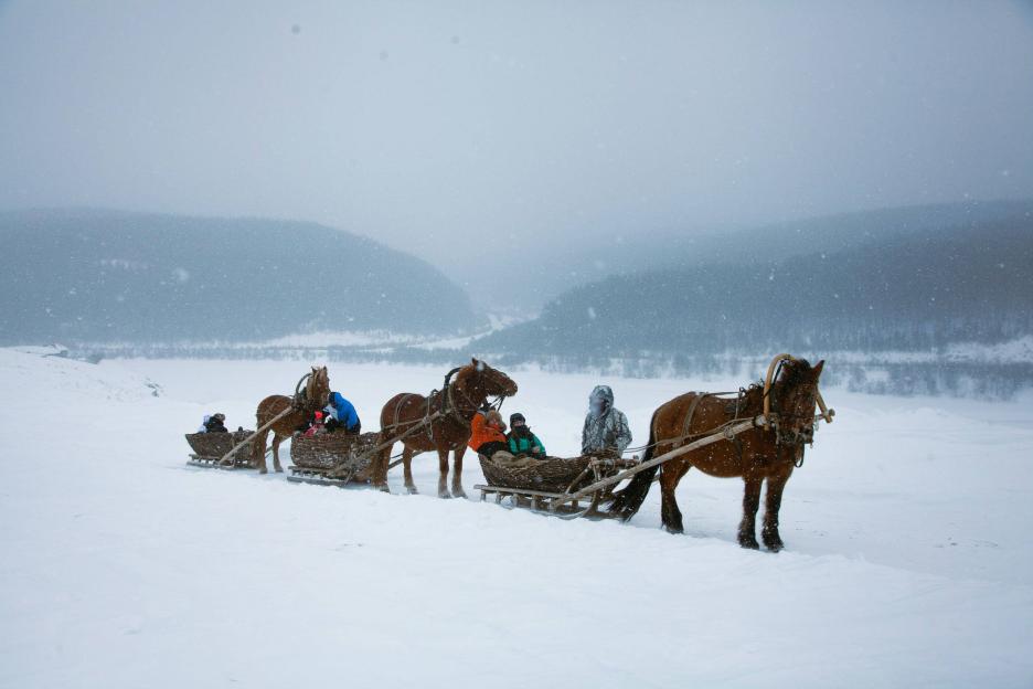 фото img_673c495edb780.jpg