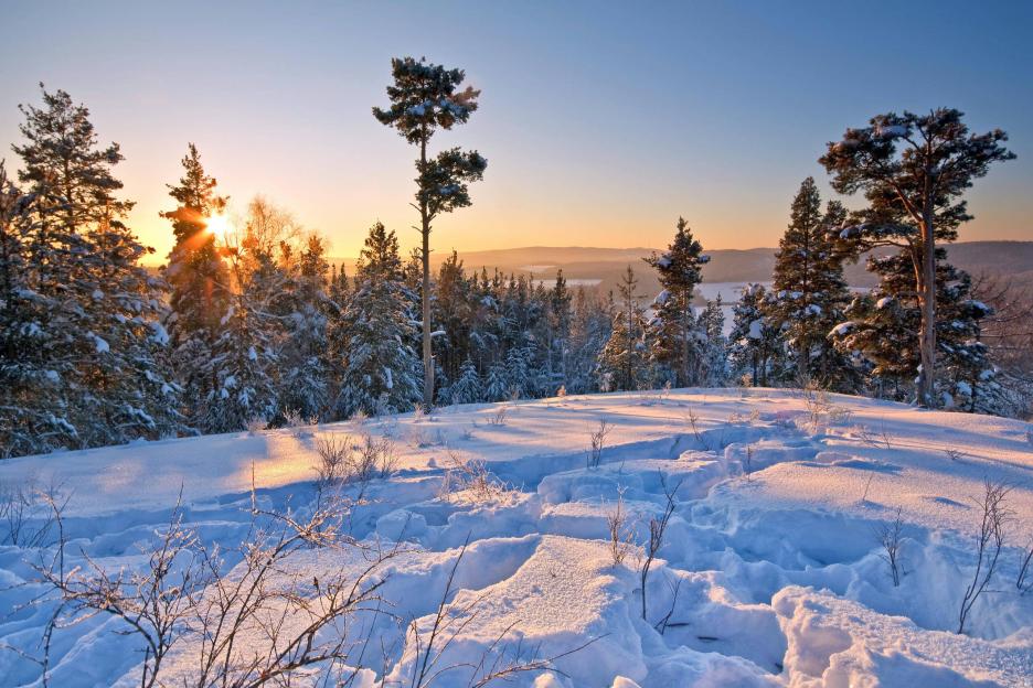 фото img_673c496265564.jpg