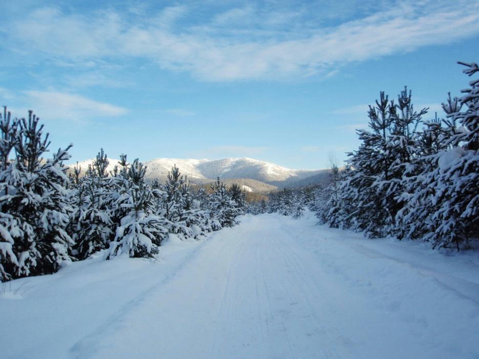 фото img_673c49654f15d.jpg