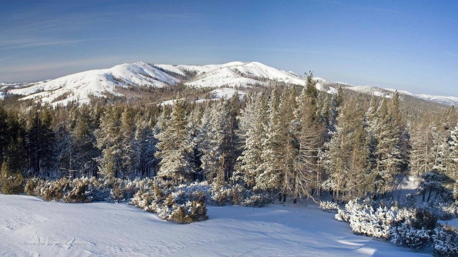 фото img_673c496aa4c50.jpg