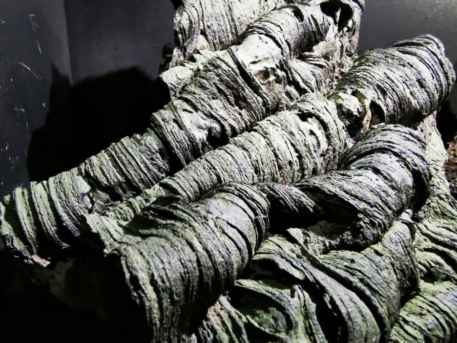 фото img_678aa468bea38.jpg