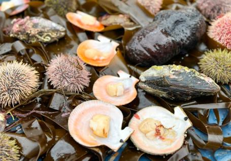 Морские деликатесы на Кольском полуострове
