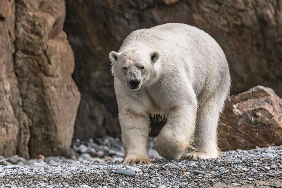 фото img_68a8117440996.jpg