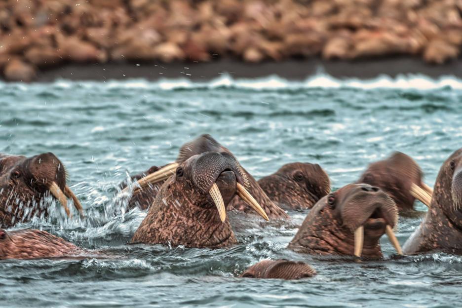 фото img_68a811df14525.jpg