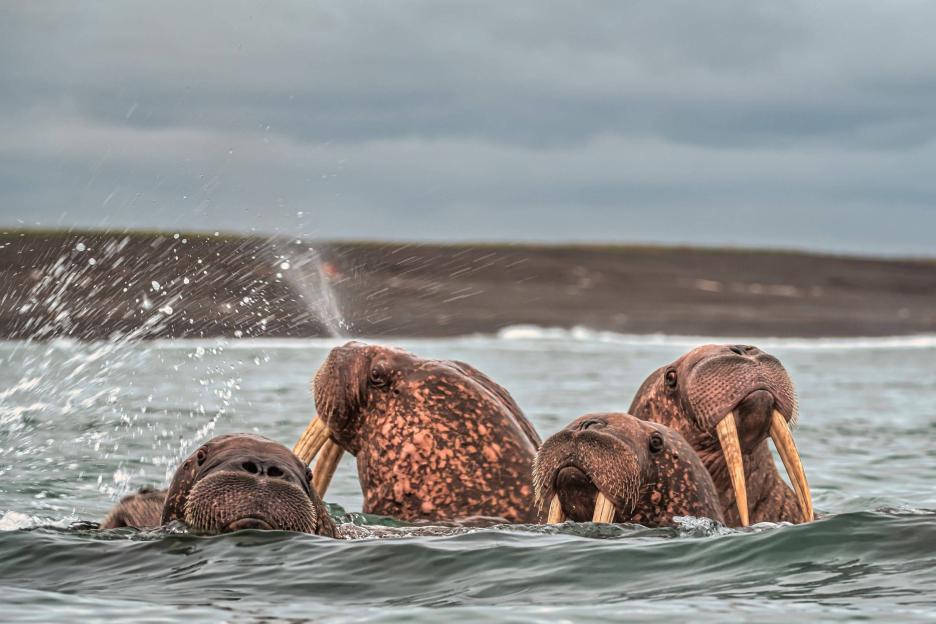 фото img_68a811e0ad3a8.jpg