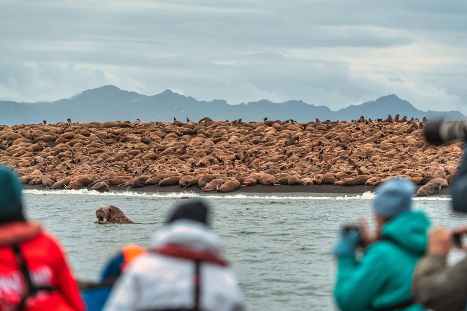 фото img_68a8132cc6def.jpg