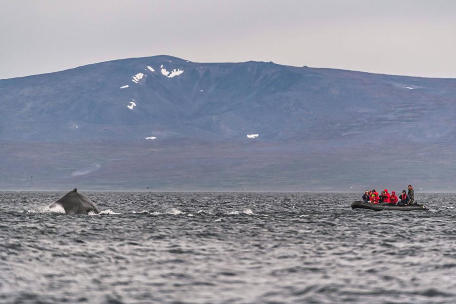 фото img_68a8132e96aa9.jpg