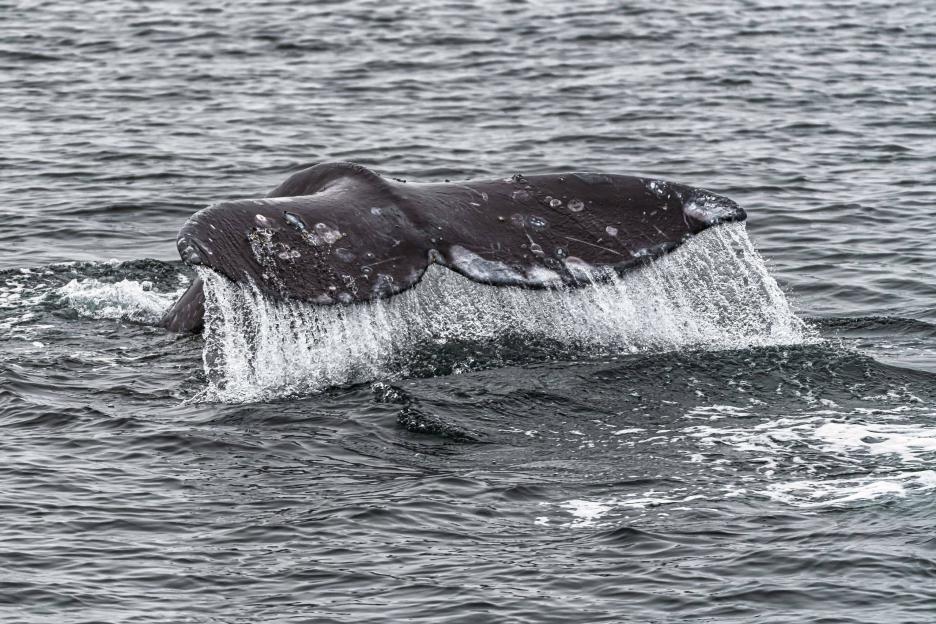 фото img_68a8133062de9.jpg