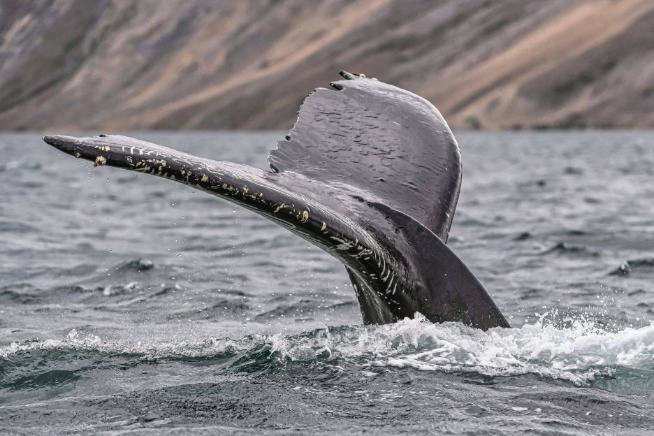 фото img_68a813321c714.jpg