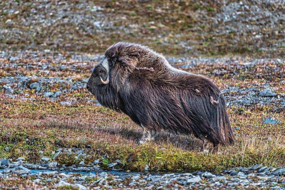 фото img_68a81333e9399.jpg