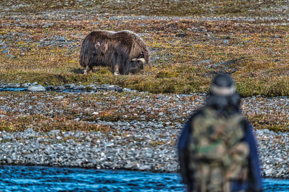 фото img_68a81335ace9b.jpg