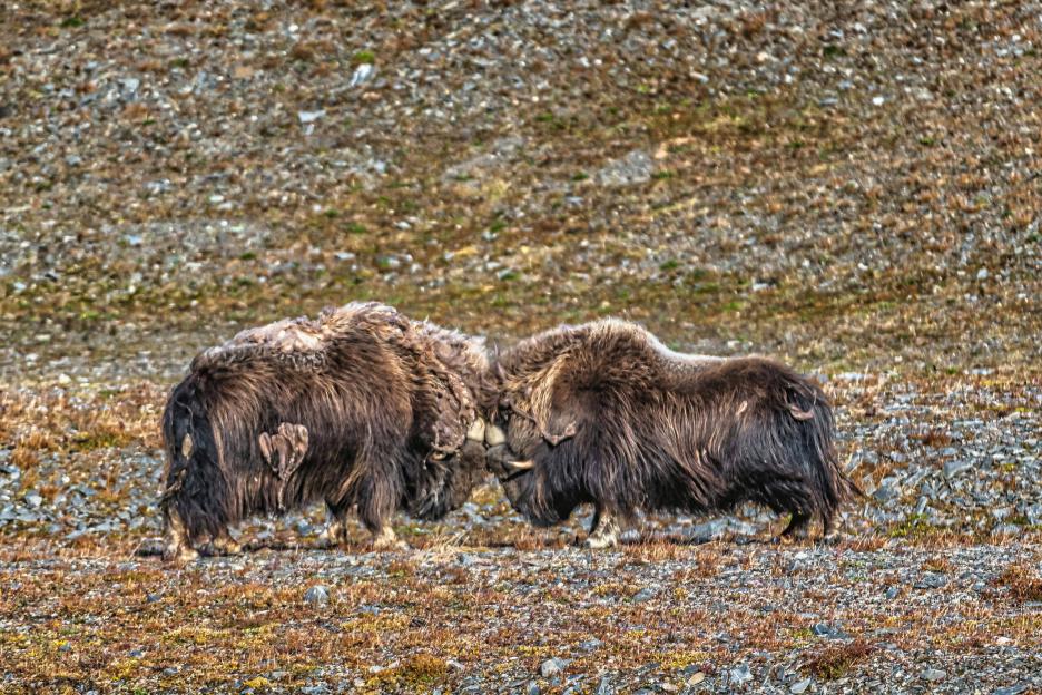 фото img_68a81337ae6ef.jpg