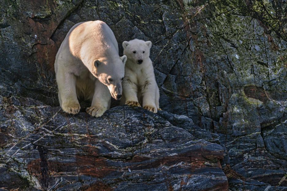 фото img_68a81339a0fb1.jpg