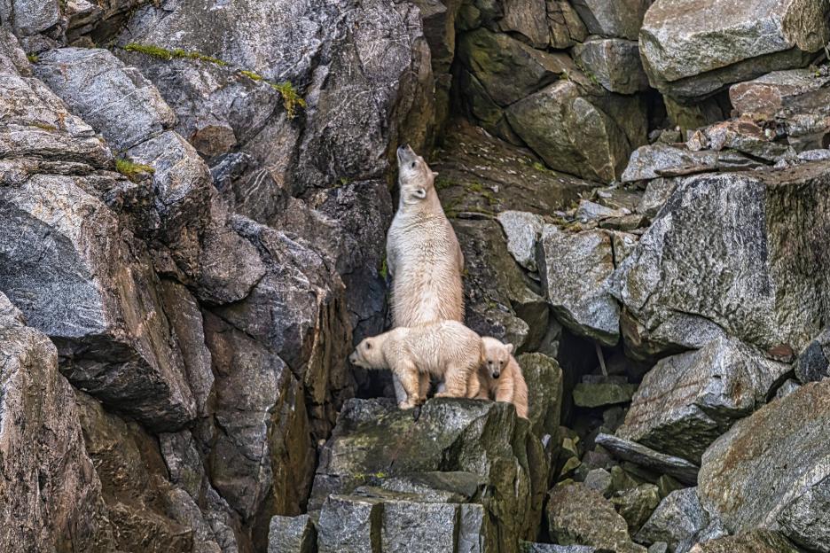 фото img_68a813a53e4be.jpg