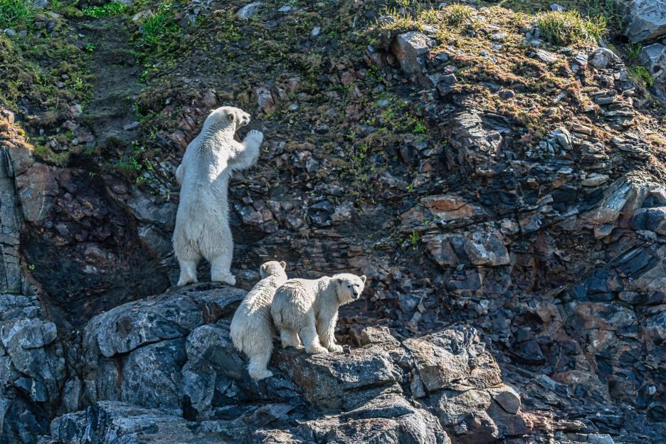 фото img_68a813a721619.jpg