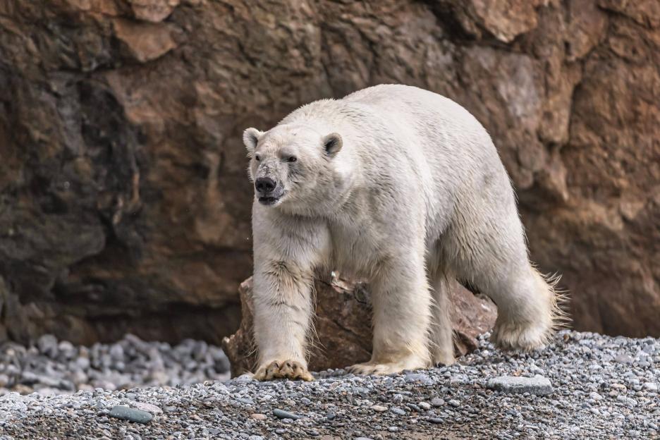 фото img_68a813a907e68.jpg